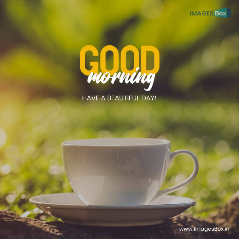 Good morning - close up white coffee cup garden morning time 2023