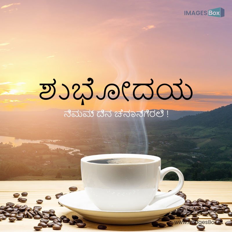 Good morning kannada - white cup coffee coffee beans wood table with sunset background natural 2023