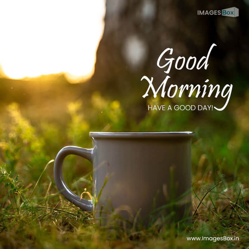 Good morning - mug grass concept ecology tourism 2023
