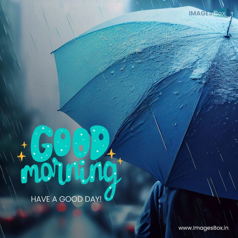 Rainfall good morning - lifestyle scene rainy weather blue umbrella rainfall banner format 2023