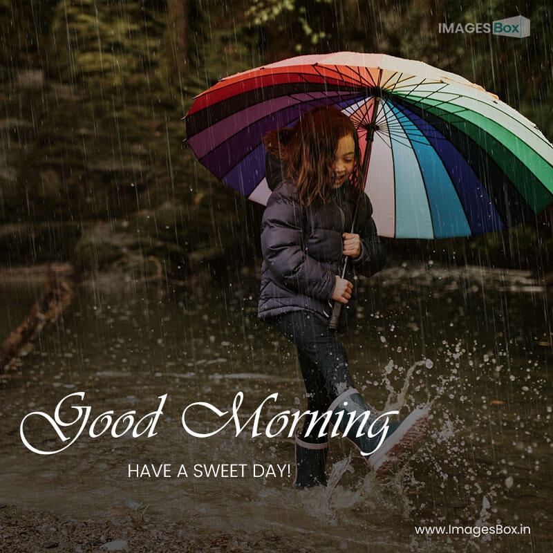 Rainfall good morning - little girl using umbrella stream rainy day 2023