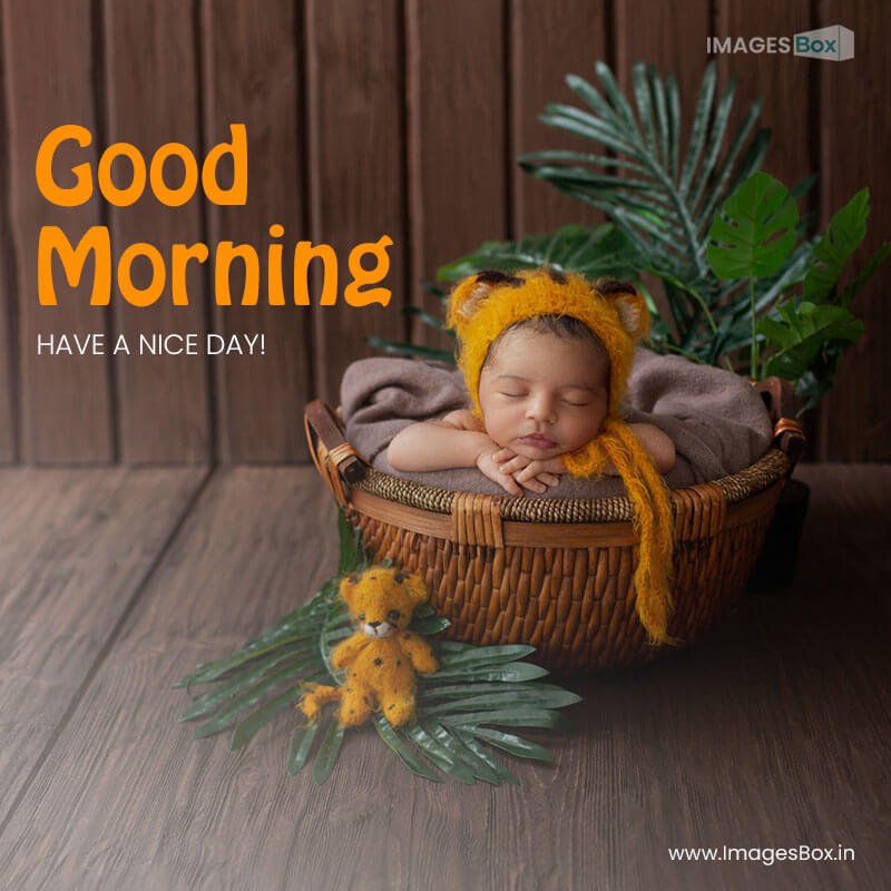 Good morning baby - newborn baby pretty likeable infant resting yellow animal shaped hat inside brown basket surrounded by green plants wooden room 2023