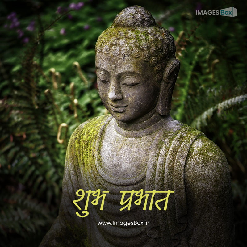 Good morning god hindi-vertical shot buddha statue with moss top greenery distance 2023
