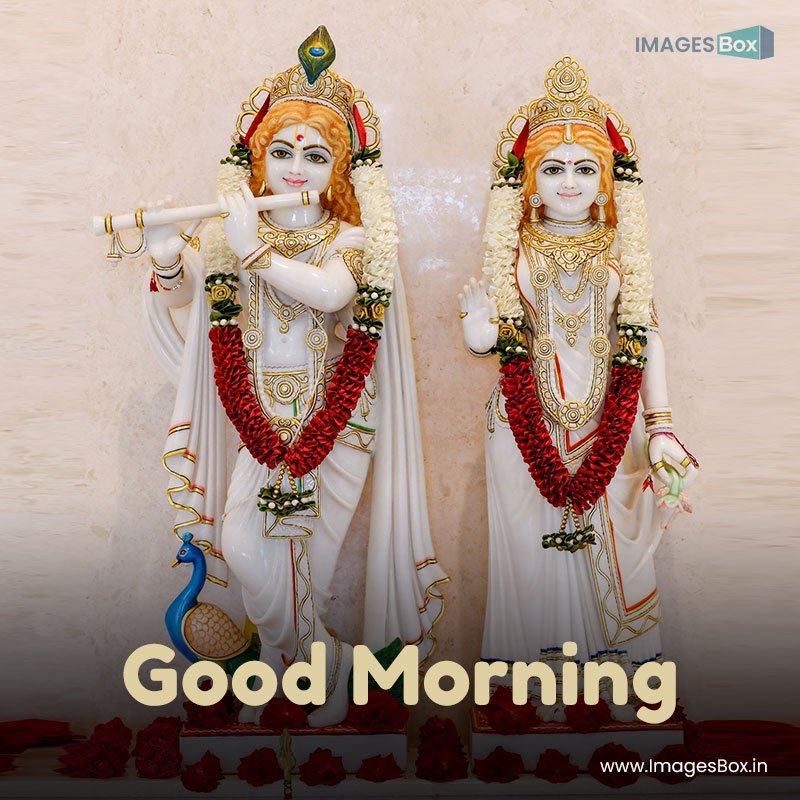 Good morning god-lord krishna radha (1) 2023