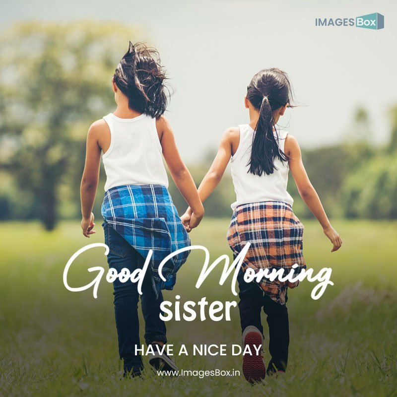 Good morning sister-two little girls hand holding together having fun park 2023