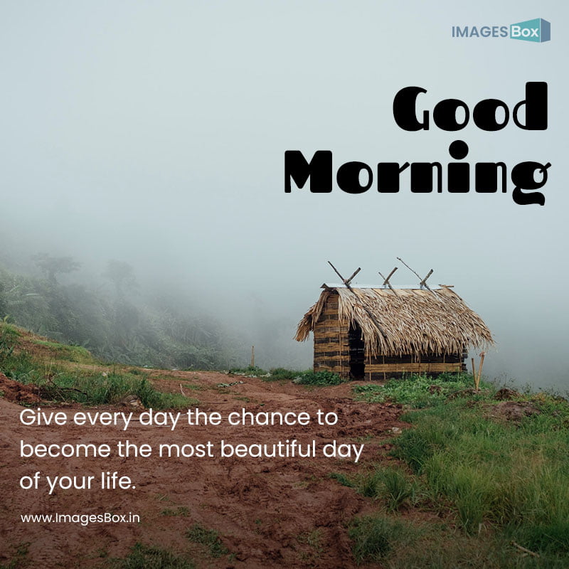 Good morning village-small hut farmer rest fog 2023