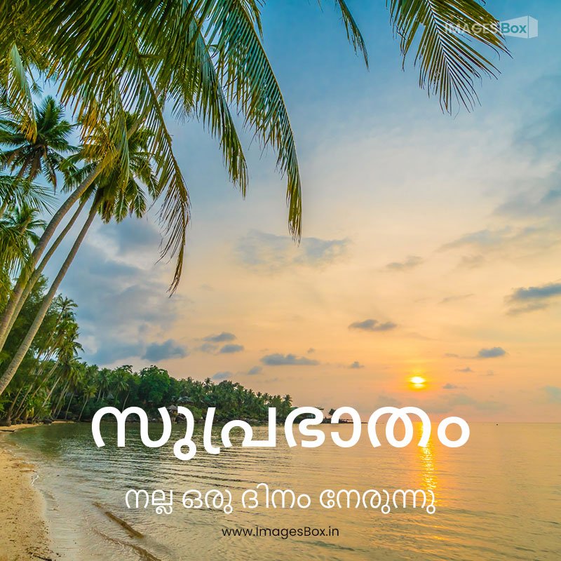 Malayalam good morning-beautiful paradise island with beach sea around coconut palm tree 2023