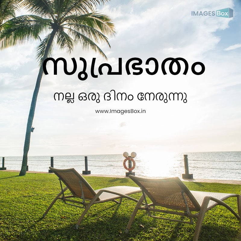 Malayalam good morning-hammocks sunset 2023