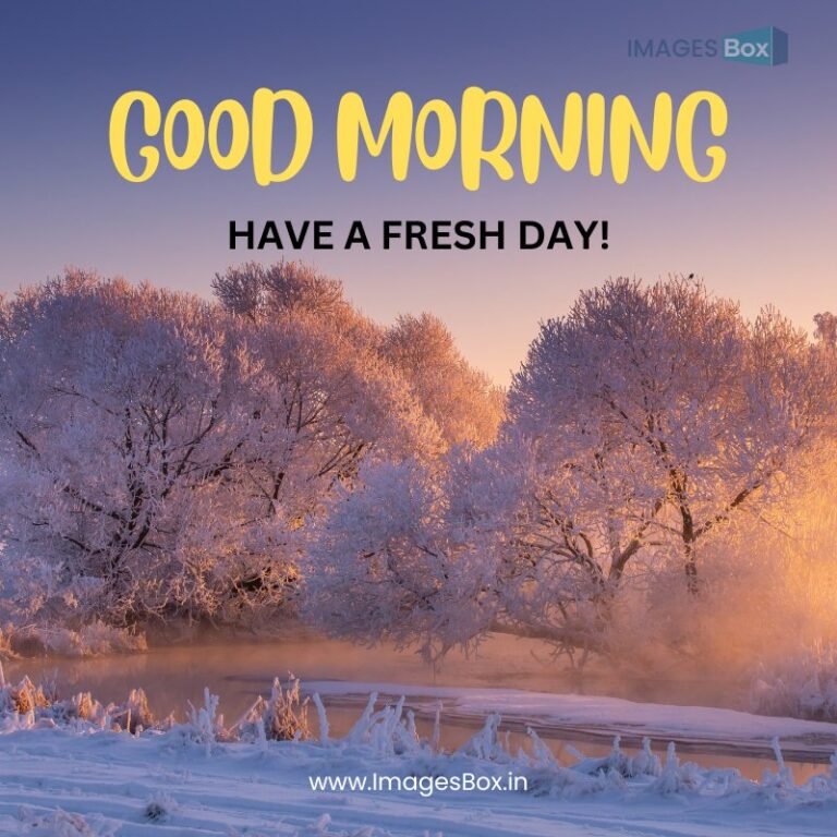 Good morning winter images | Winter season good morning images 2025