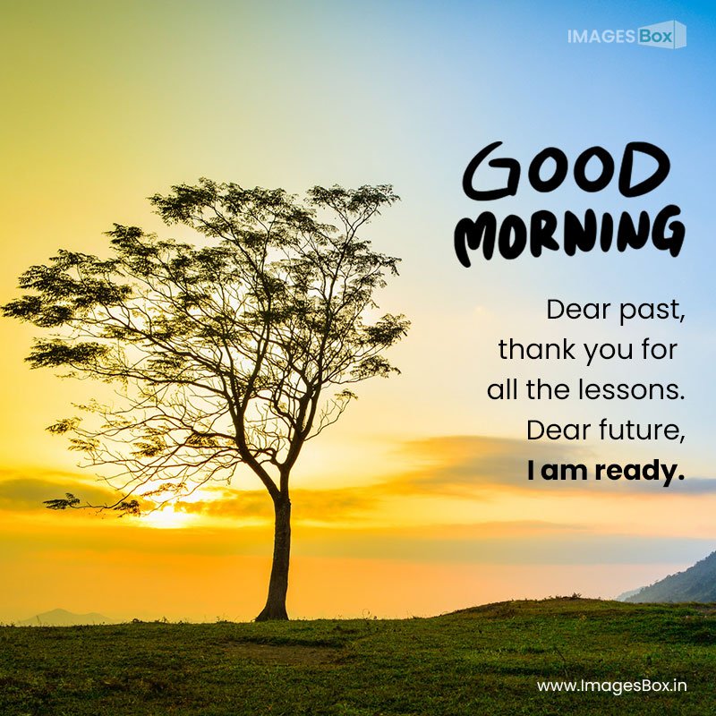 one tree slope hill mountain beautiful sunrise with tree alone sunset sky yellow blue-Green Good Morning 2023