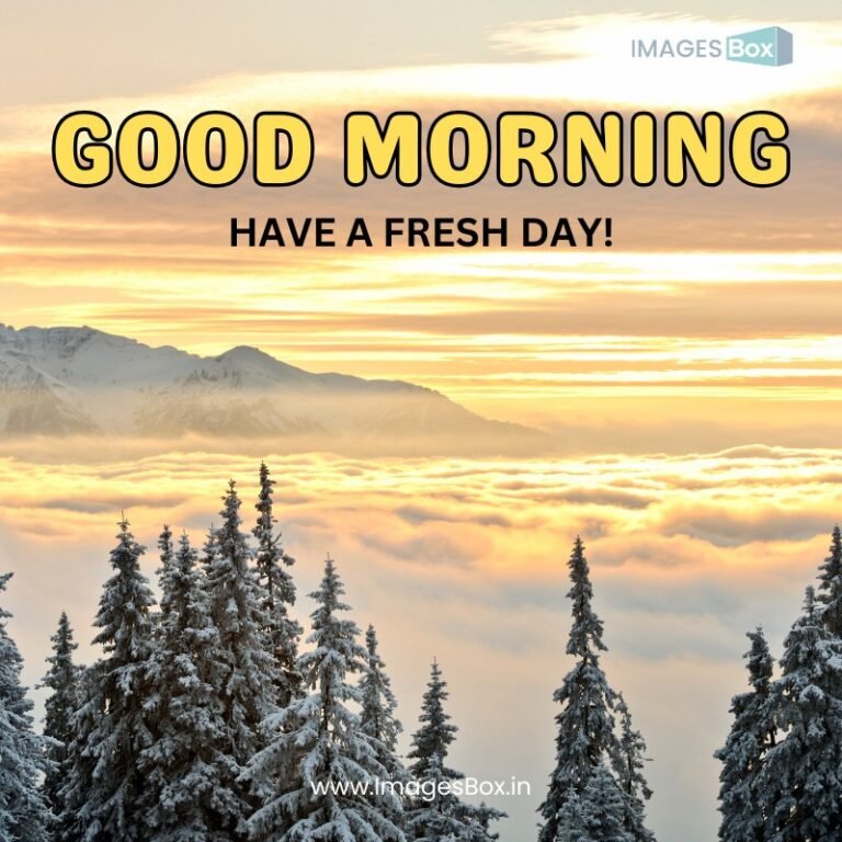 Good morning winter images | Winter season good morning images 2025