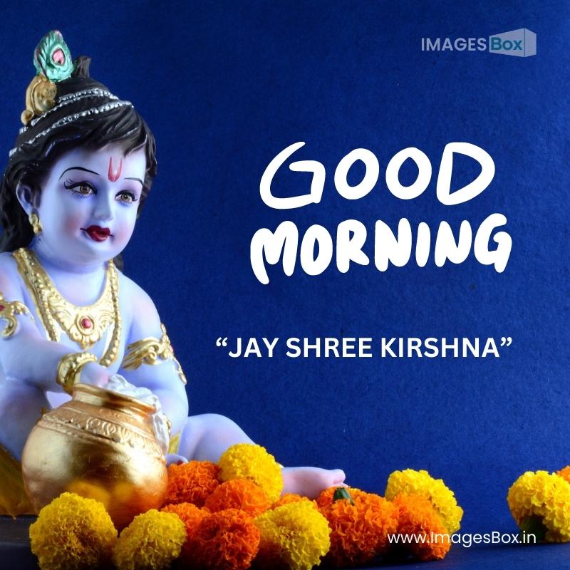 hindu god krishna blue surface jay shree krishna good morning images Jay Shree Krishna Good Morning Images