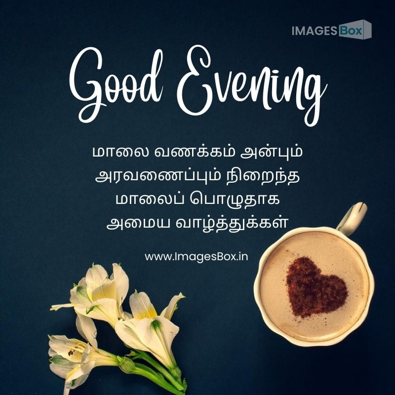 Background black flowers and coffee-good evening images in tamil