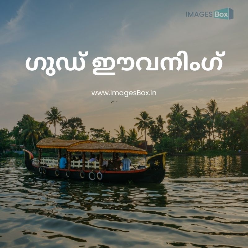 Boat carrying tourists floating down river background palm trees beautiful sunset sun sets-good evening malayalam images