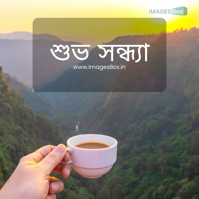 Enjoy cup of tea with beautiful sunset-good evening images in bengali