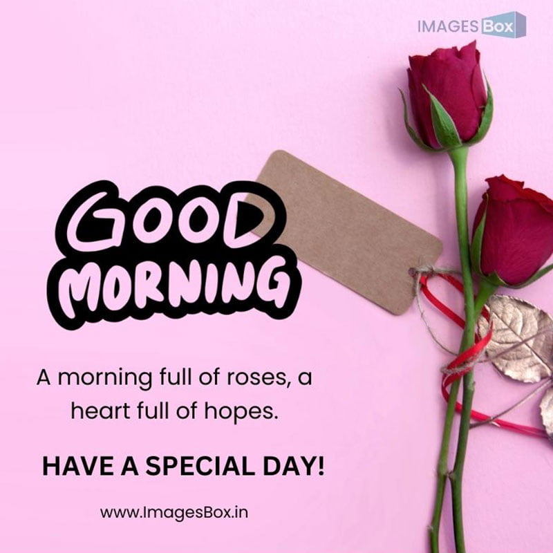 Gift card roses background pink good morning rose image Good Morning Rose Image