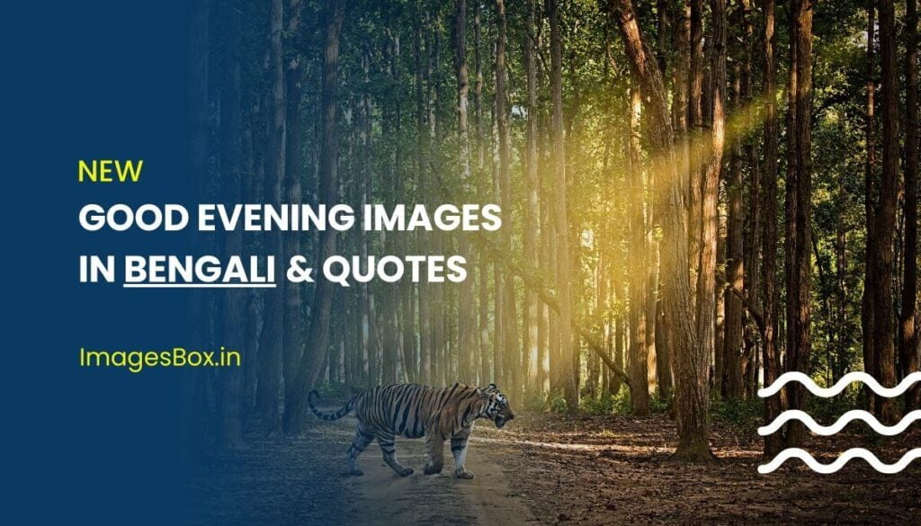 Good Evening Images in Bengali & quotes
