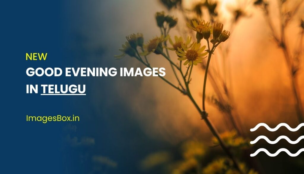 Good Evening Images in Telugu
