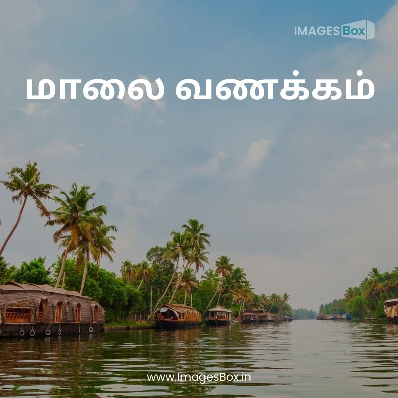 Houseboat alappuzha backwaters kerala-good evening images in tamil
