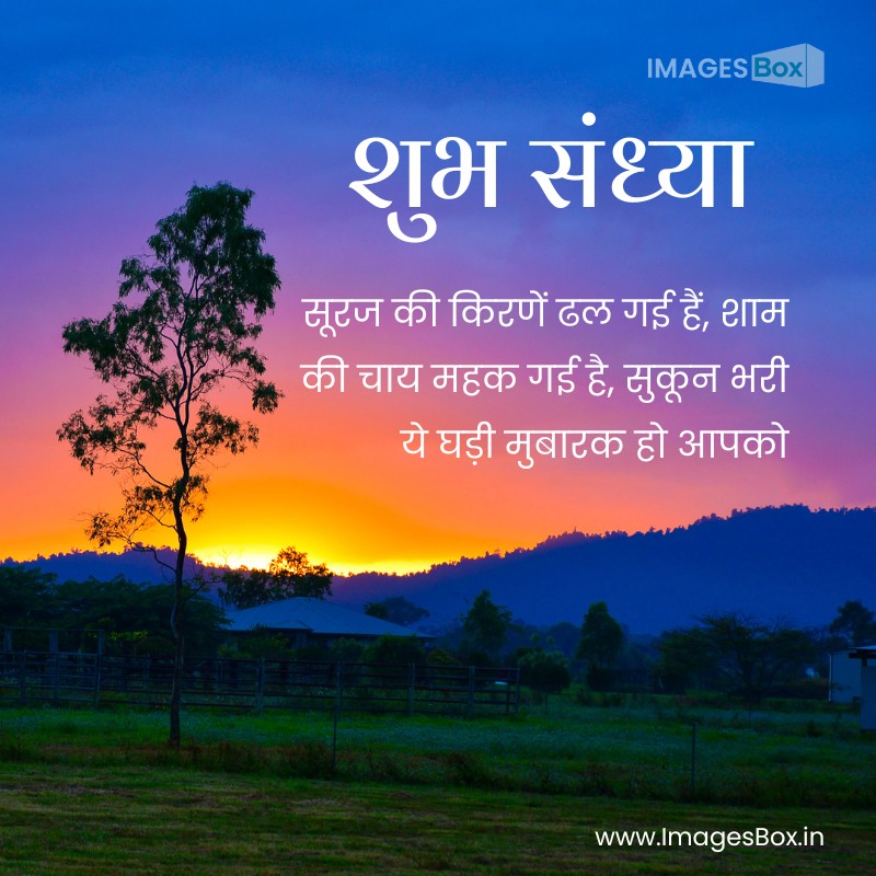25+ Good Evening Images Hindi Shayari (2025) 17 Serene sunrise-good evening images hindi shayari