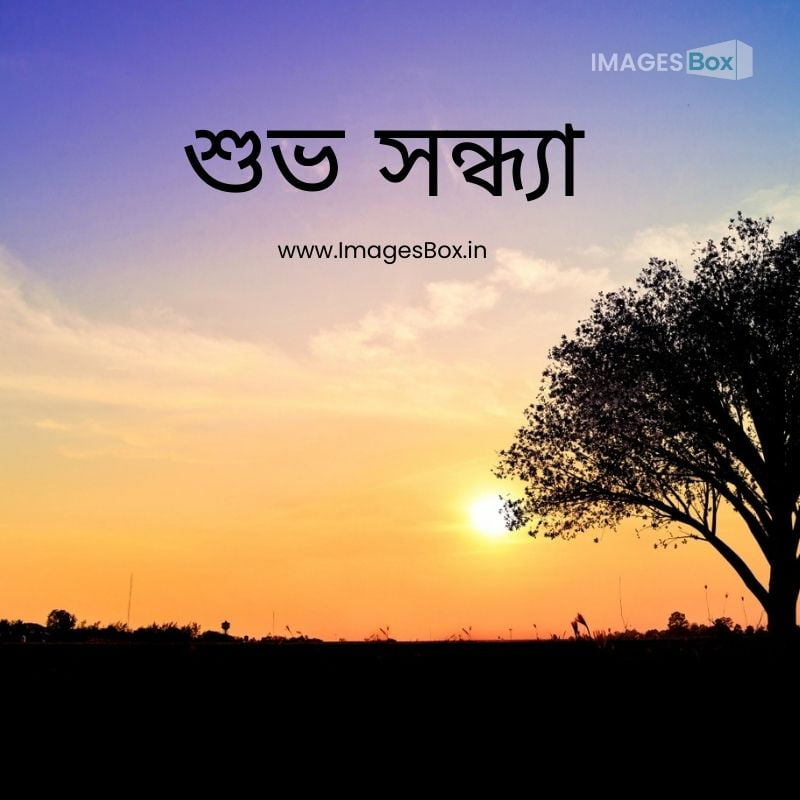 Sunset landscaoutdoors sky beautiful spiritual fantasype 1006-good evening images in bengali