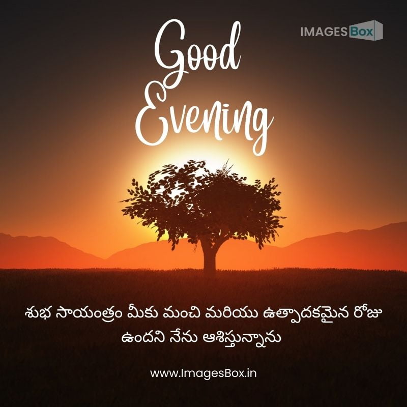 Tree silhouette design-good evening images telugu