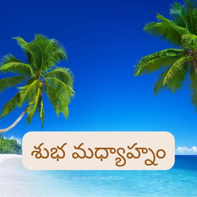 Beautiful Beach-Good Afternoon Images In Telugu