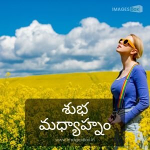 Best 18+ Good Afternoon Images in Telugu & Quotes 2025