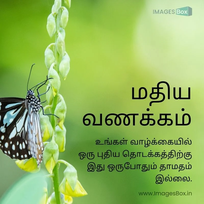 good evening images with quotes in tamil