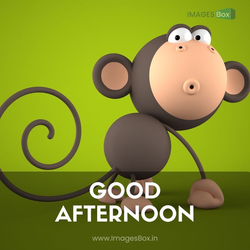 Cartoon monkey isolated on green bg-animated good afternoon images