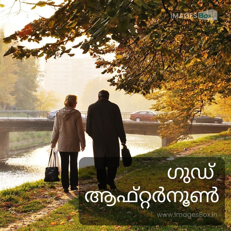 Elder Couple in Park-good afternoon malayalam images