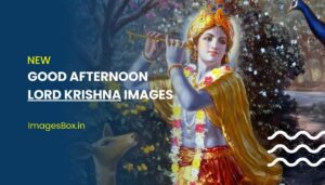 Good Afternoon Krishna Images