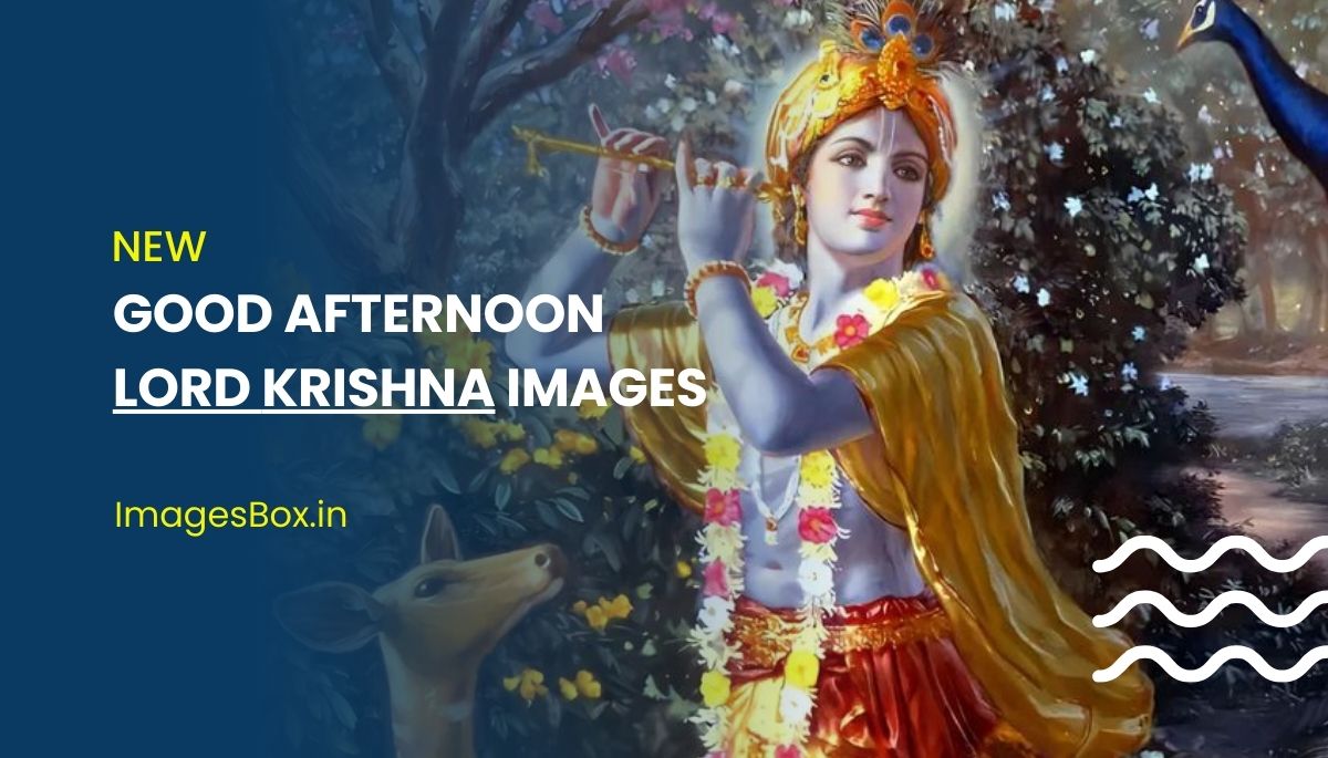 Good Afternoon Krishna Images