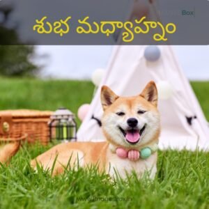 Best 18+ Good Afternoon Images in Telugu & Quotes 2025