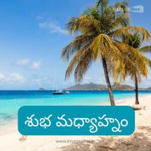 Best 18+ Good Afternoon Images in Telugu & Quotes 2025