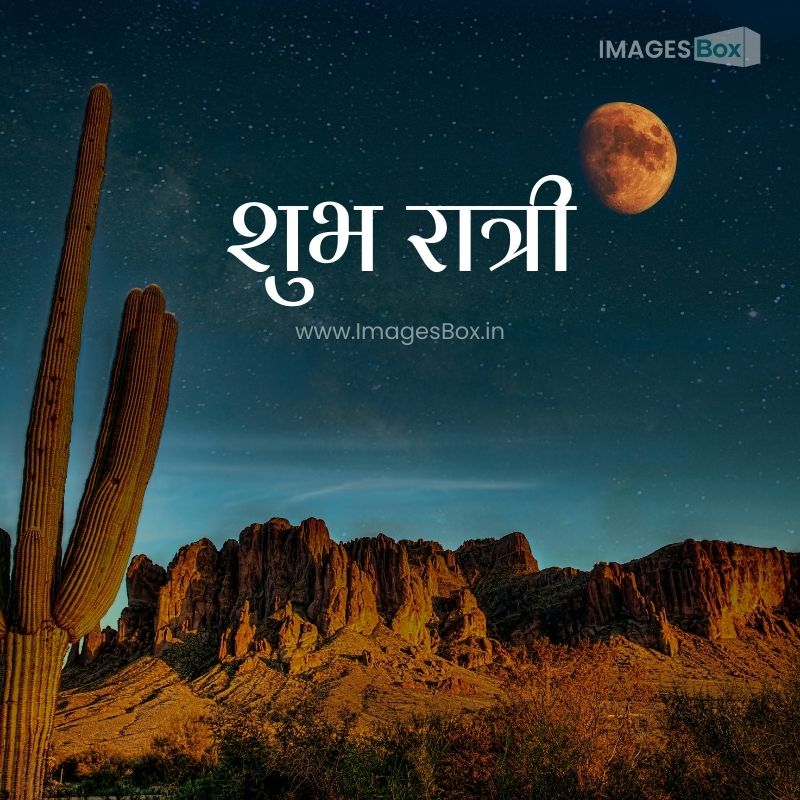 Night in the Desert with moon and saguaro cactus-good night images in marathi