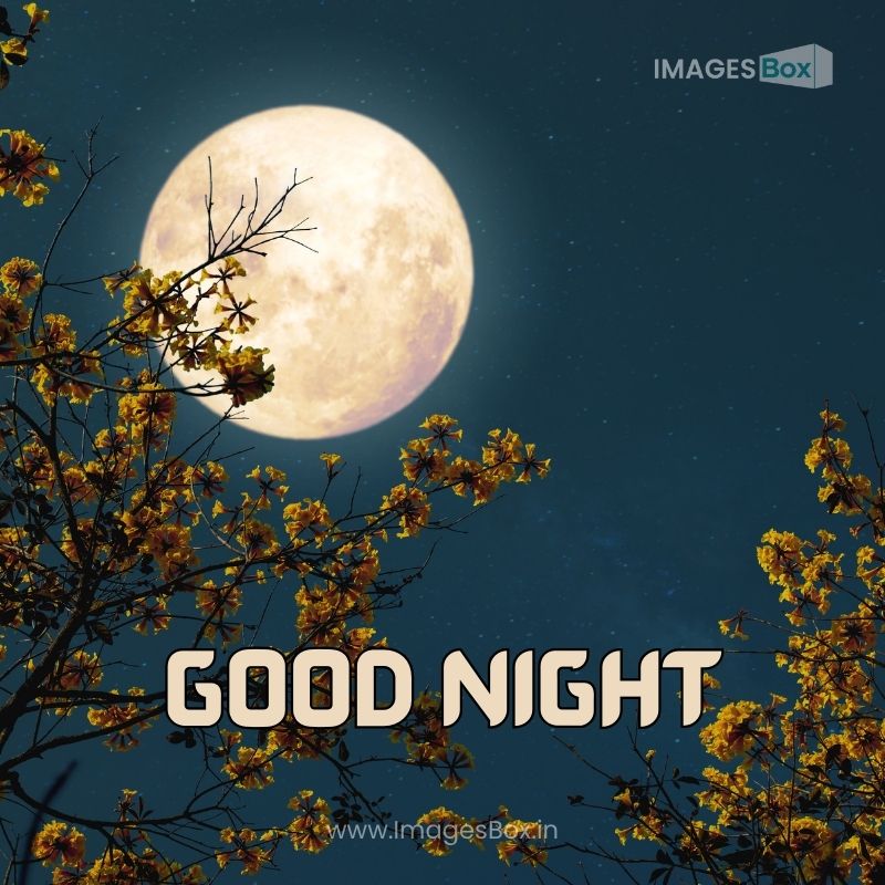 Romantic night fantasy with full moon-good night nature images