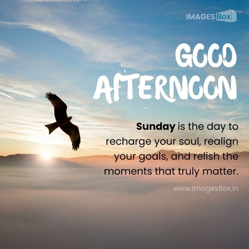 25 Good Afternoon Sunday Images With Quotes 2025 