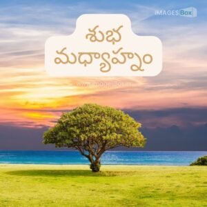 Best 18+ Good Afternoon Images in Telugu & Quotes 2025