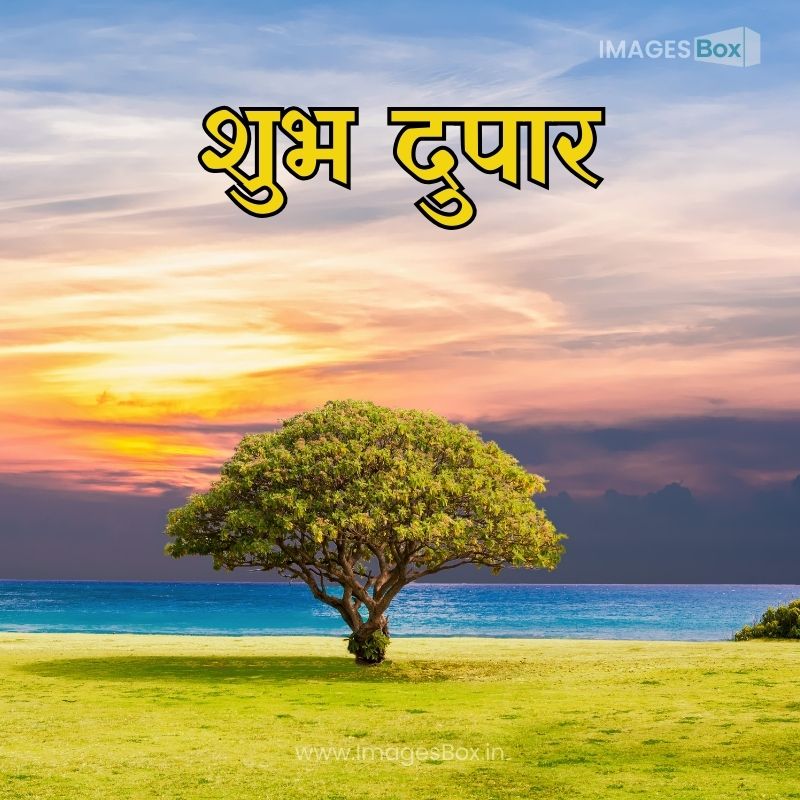 Tree in Nature-good afternoon images in marathi