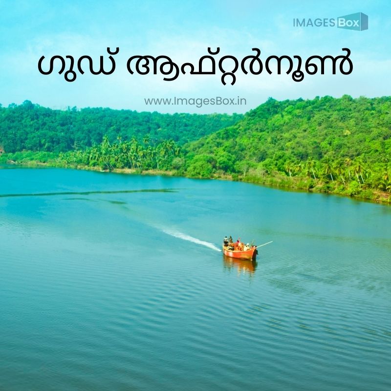 kerla river view background tree-good afternoon malayalam images