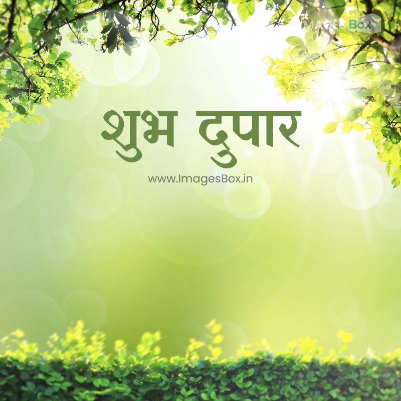natural green background-good afternoon images in marathi