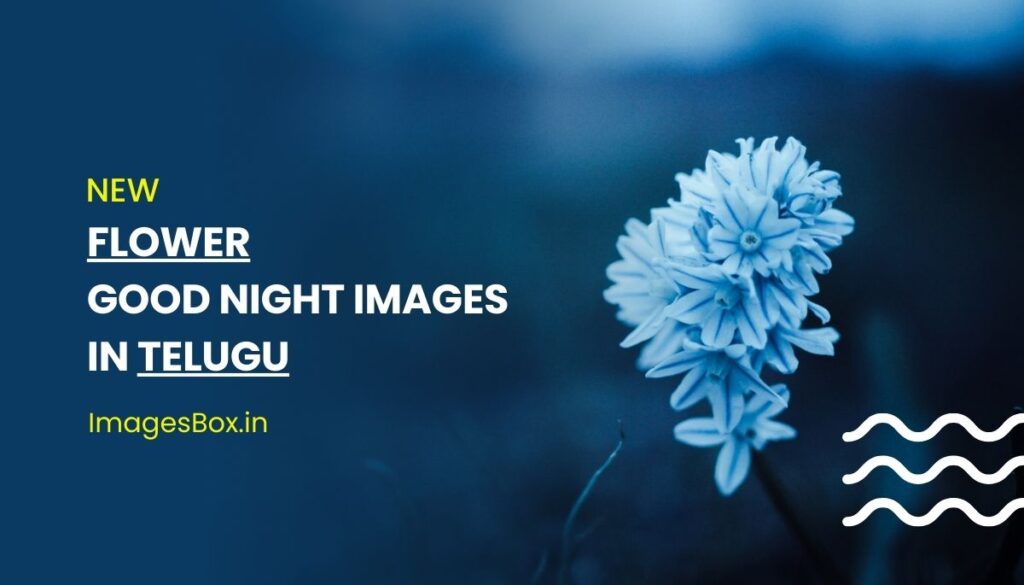 Flower Good Night Images In Telugu