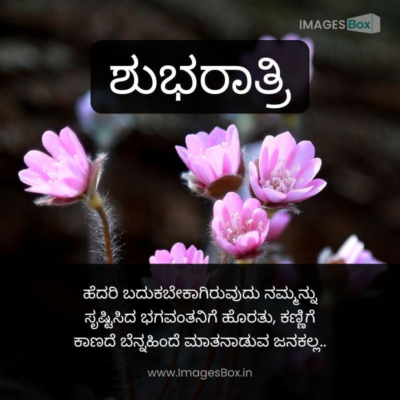 Flowers in Nature-good night images in kannada