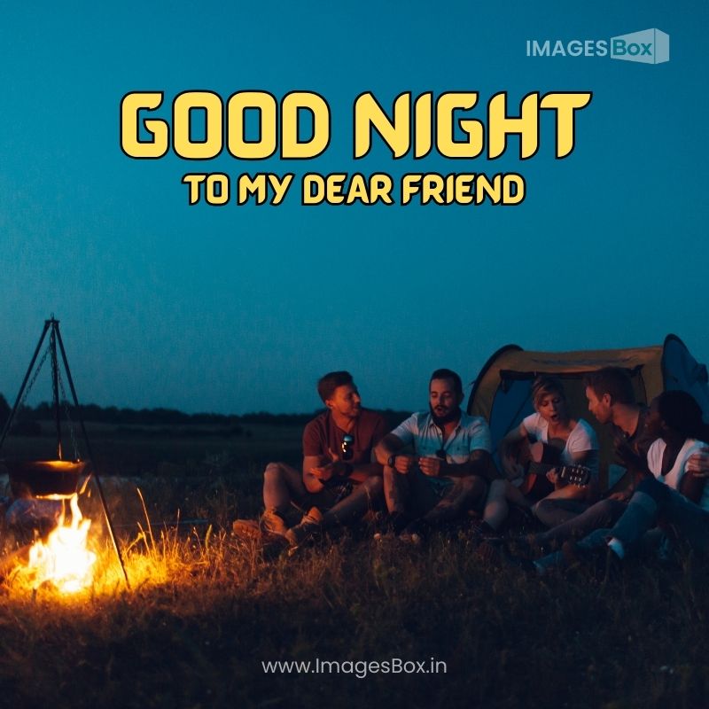 Friends camping together good night image