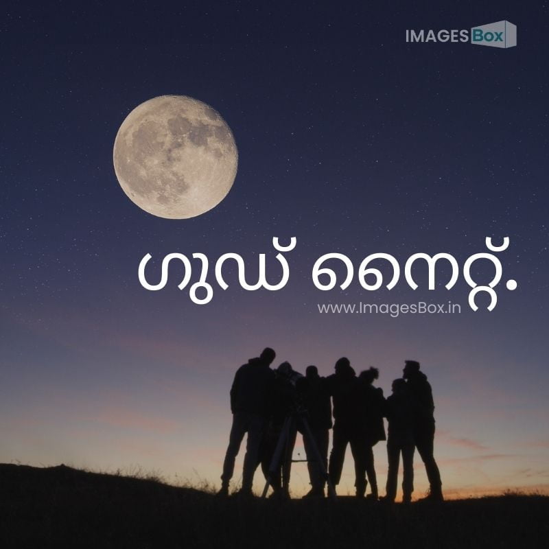 Friends with campfire looking on big moon-good night images malayalam for friends