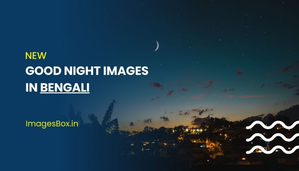 Good Night Images In Bengali