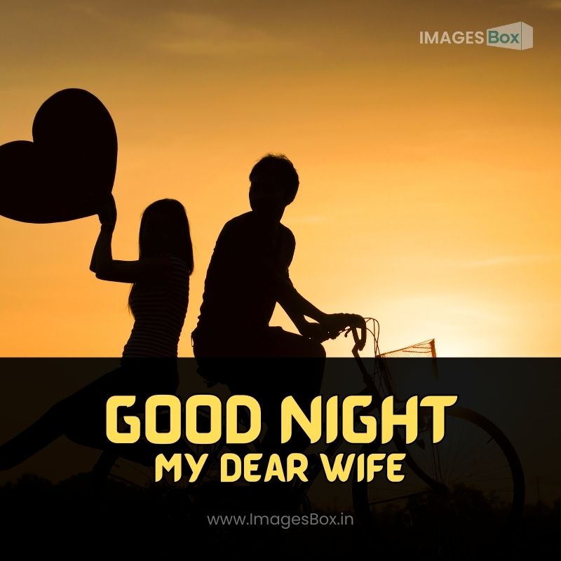 Loving husband & wife-good night romantic images for wife