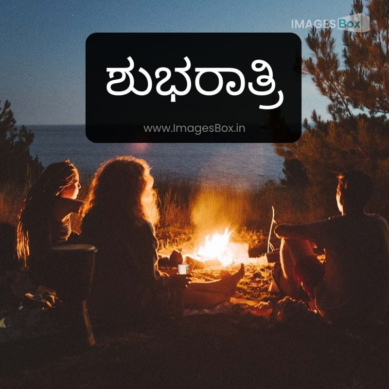 People Having Campfire near the Sea-good night images in kannada