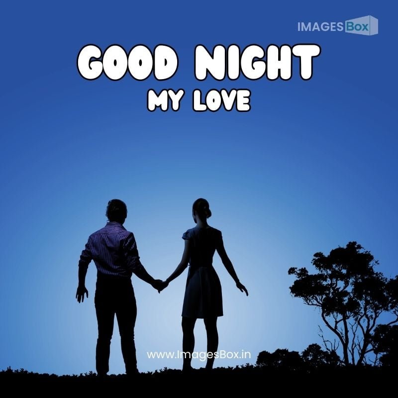 Silhouettes of young romantic couple standing-good night romantic images for lover (2)